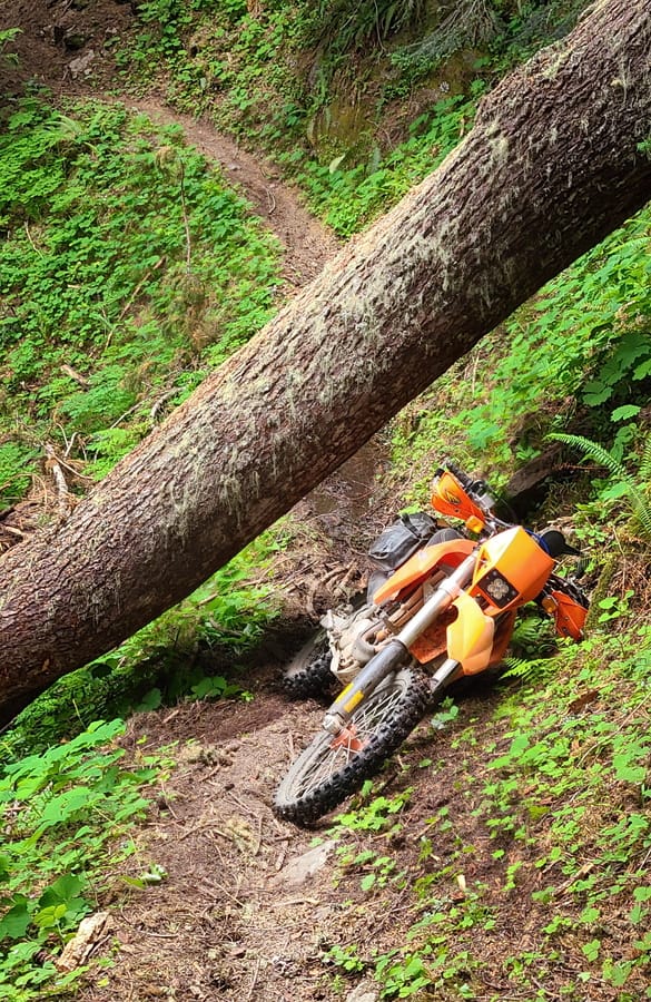 motorcycle leaned against a steep hill side under a log