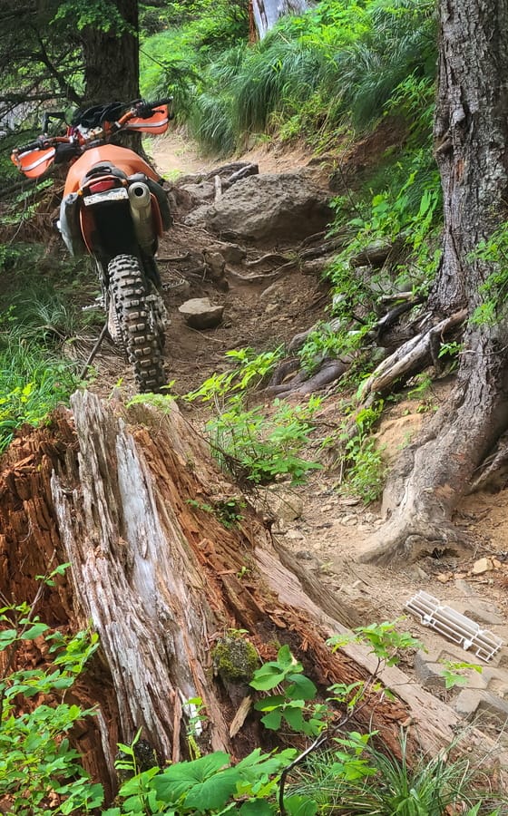 motorcycle parked in front of tree roots blocking the trail