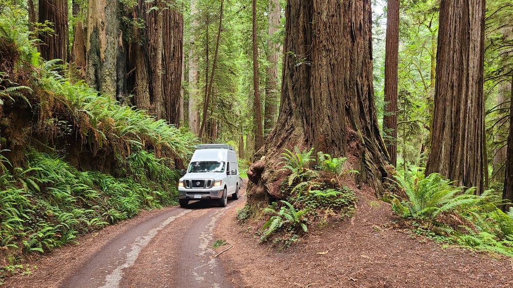 Van driving on a dirt road through towering redwoods
