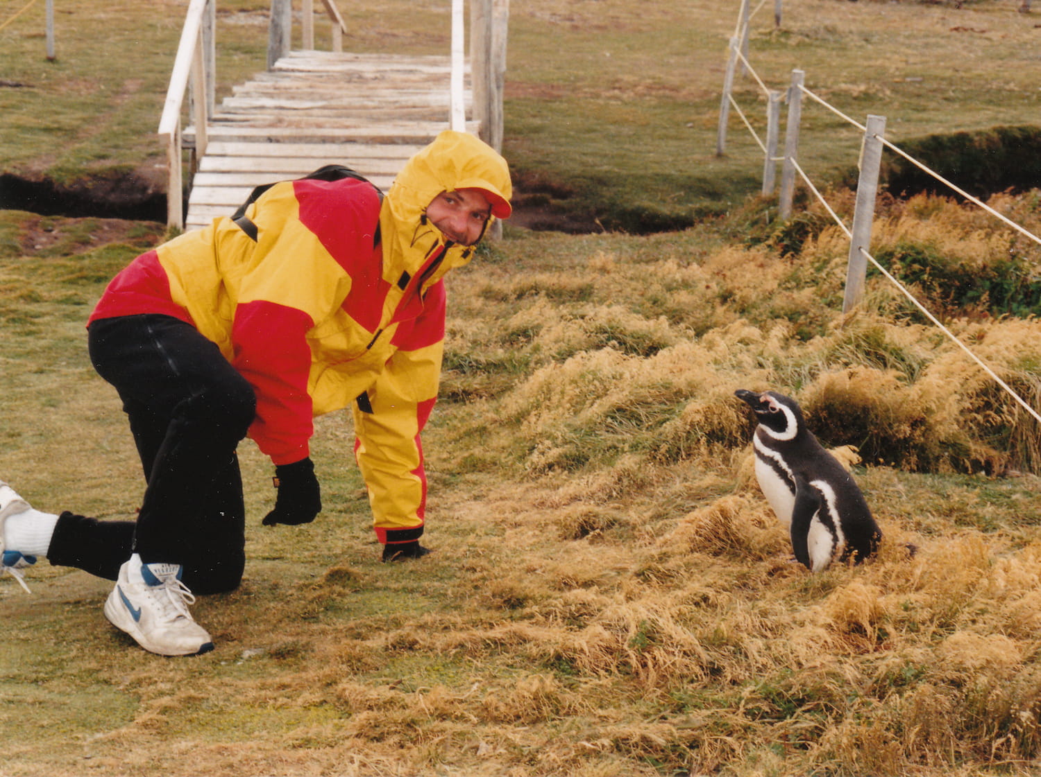 person next to a pinguin 