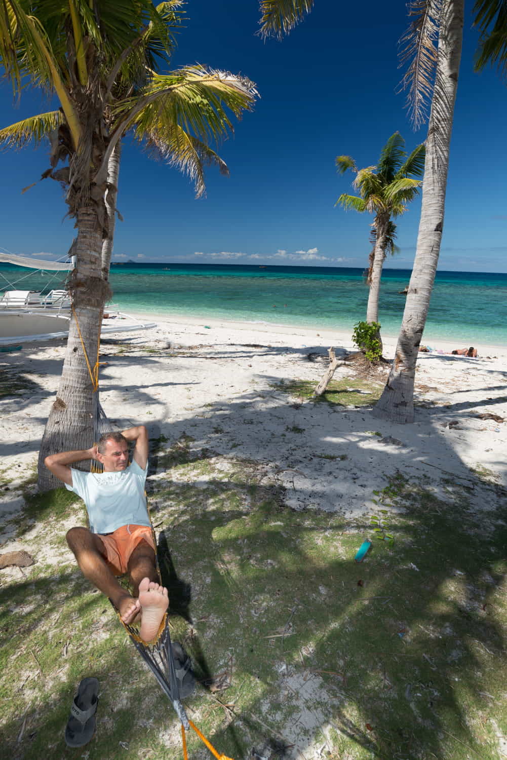 a person in hammock on a palm-fringed beach