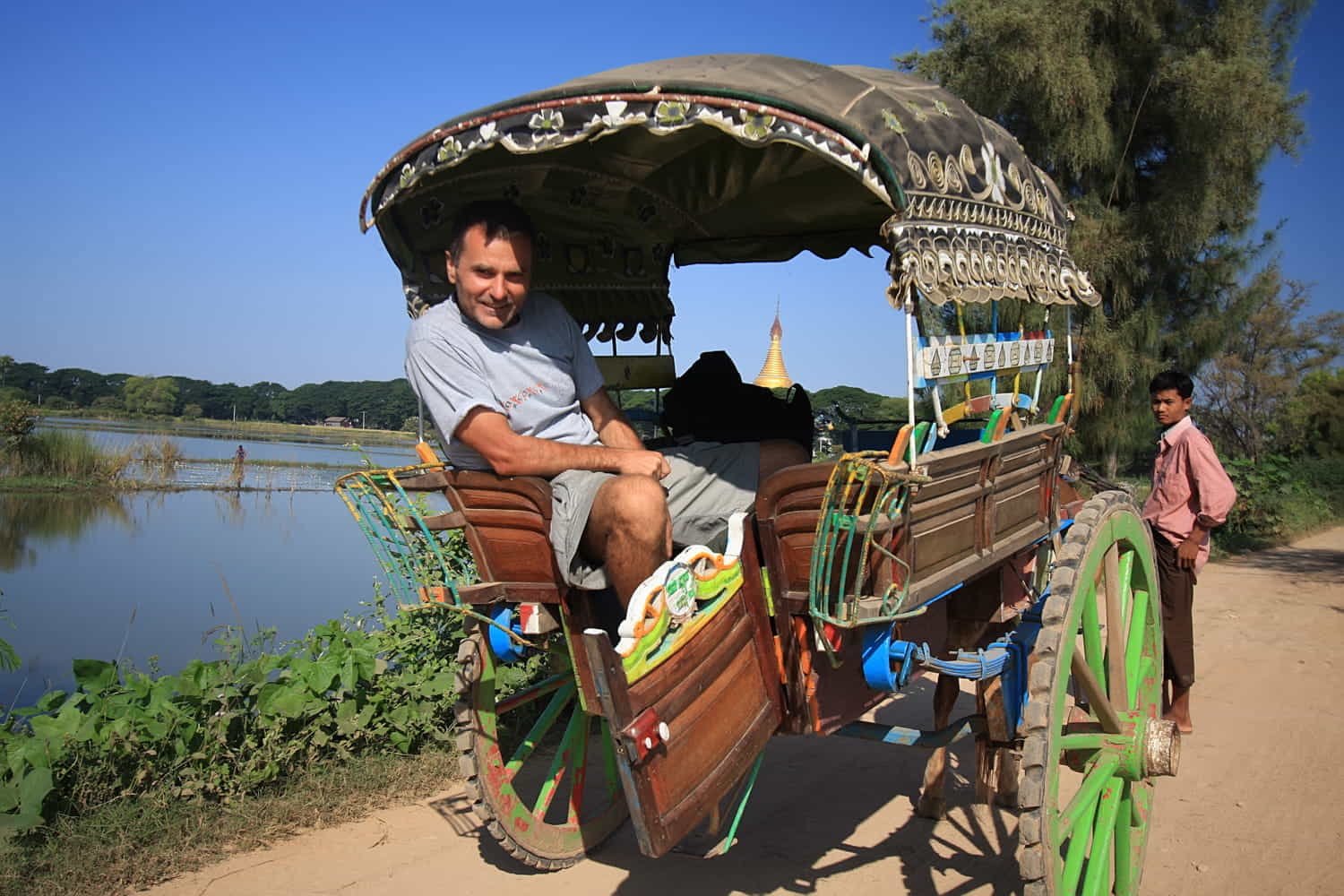 a person sitting at the back of a horse drawn carriage