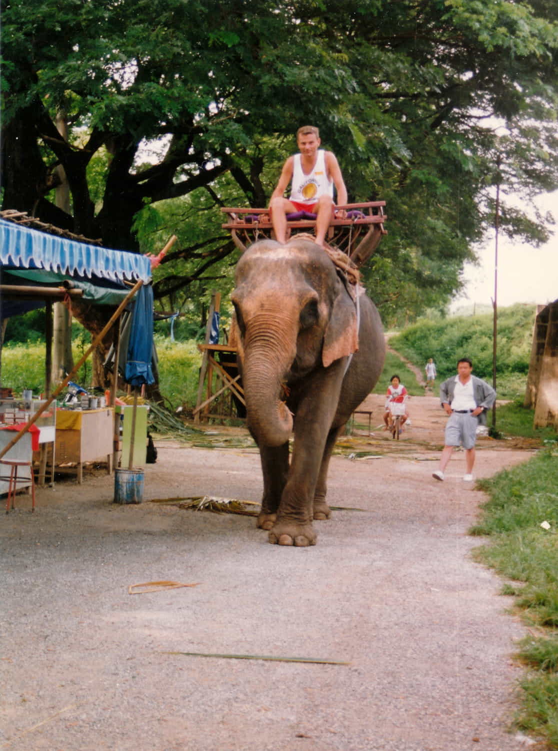 a person riding an elephant