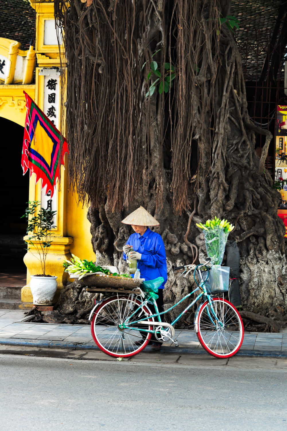 a lady with bicycle and flowers next to a banyan tree