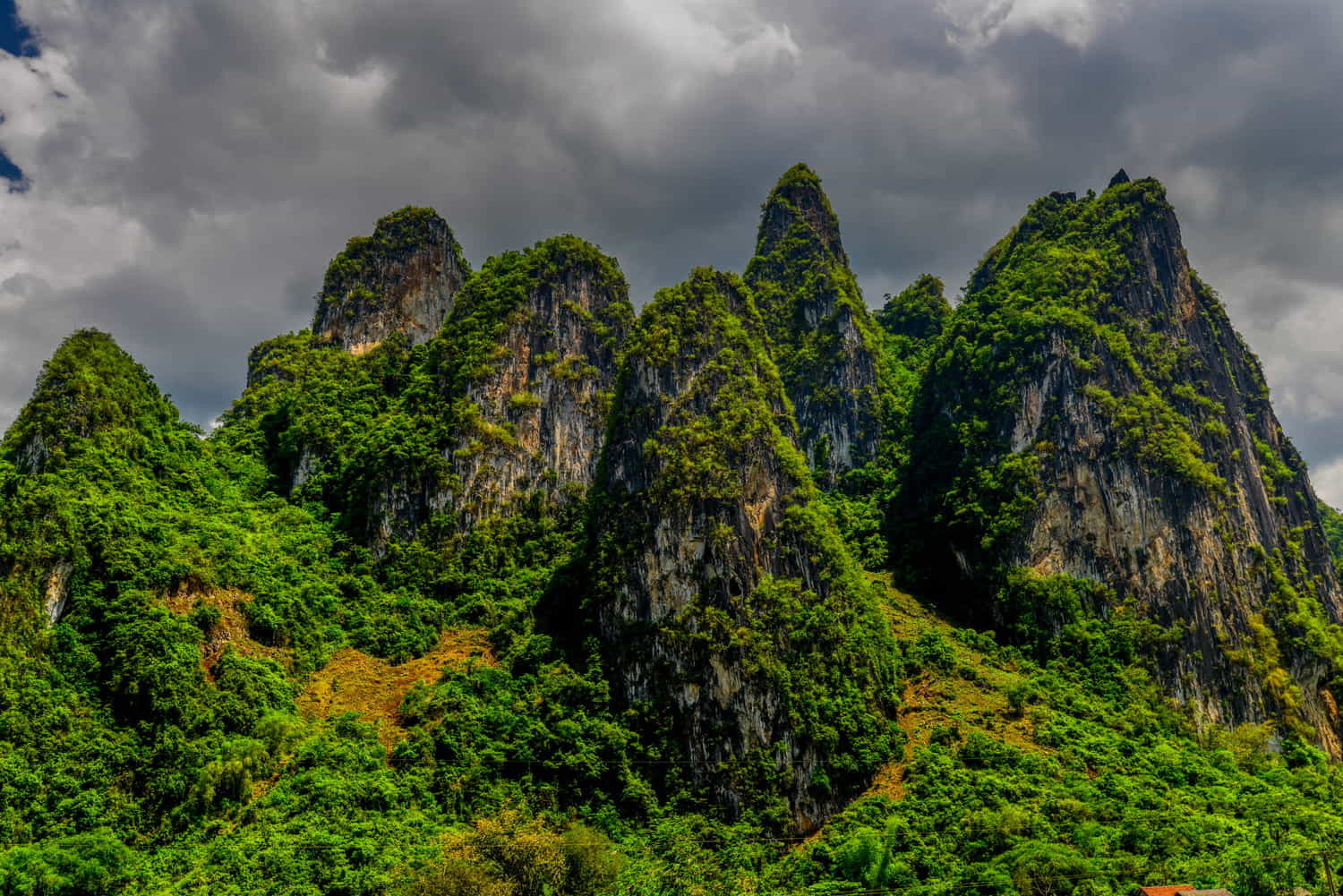 steep limestone towers covered with vegetation