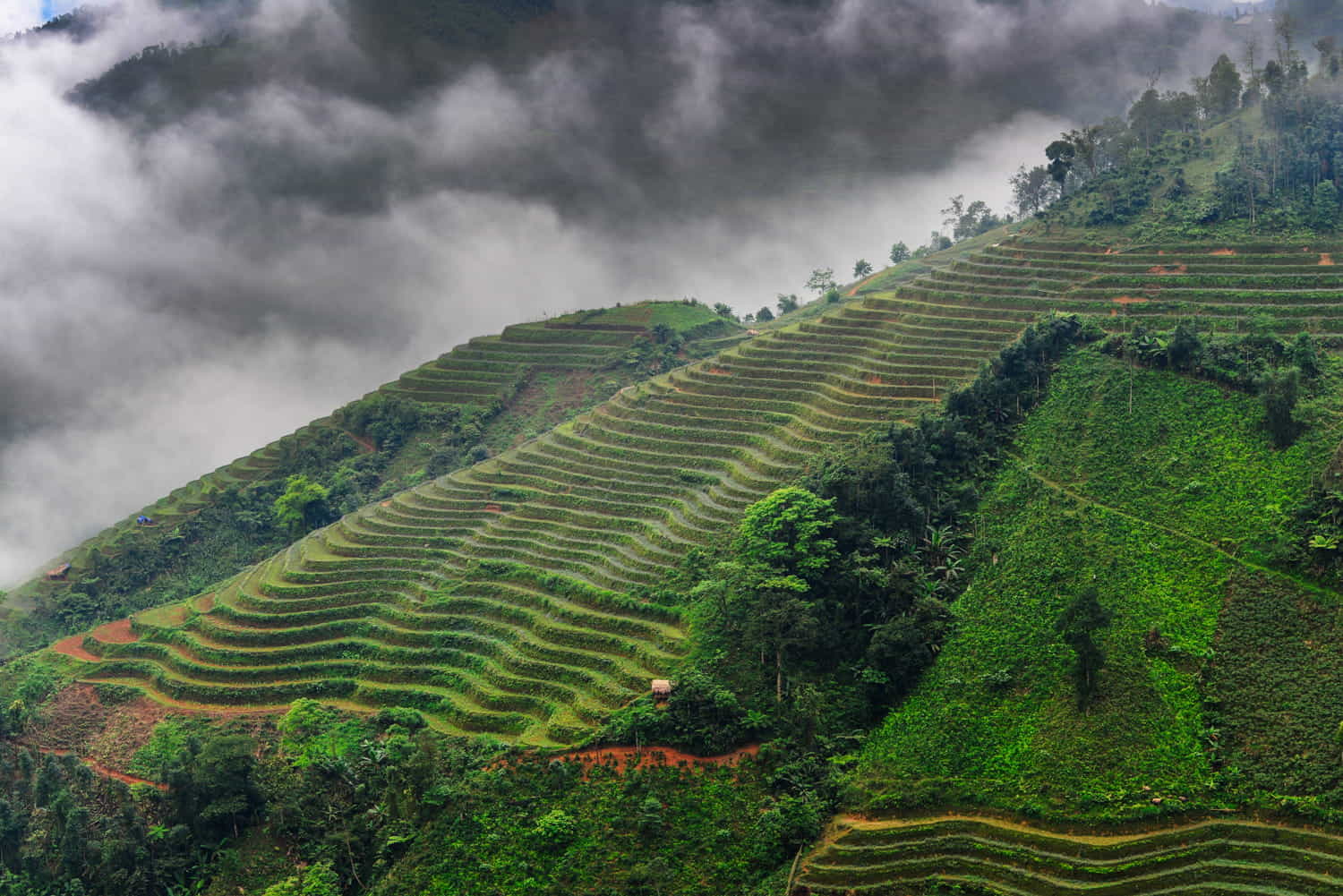 rice teraces descending down a mountain slope with clouds behind