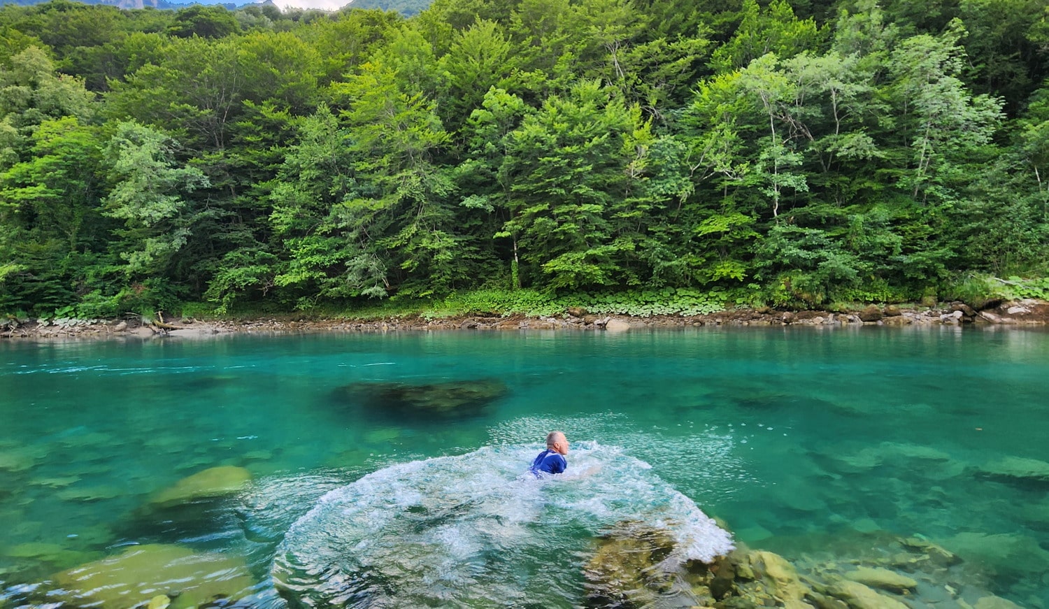 a person swimming in a river