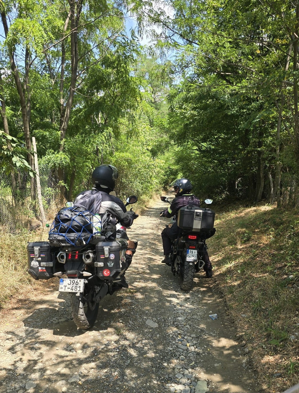 two riders on a dirt road through forest