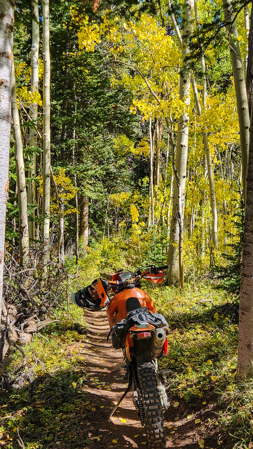 a motorcycle on a trail through aspens with yellow leaves