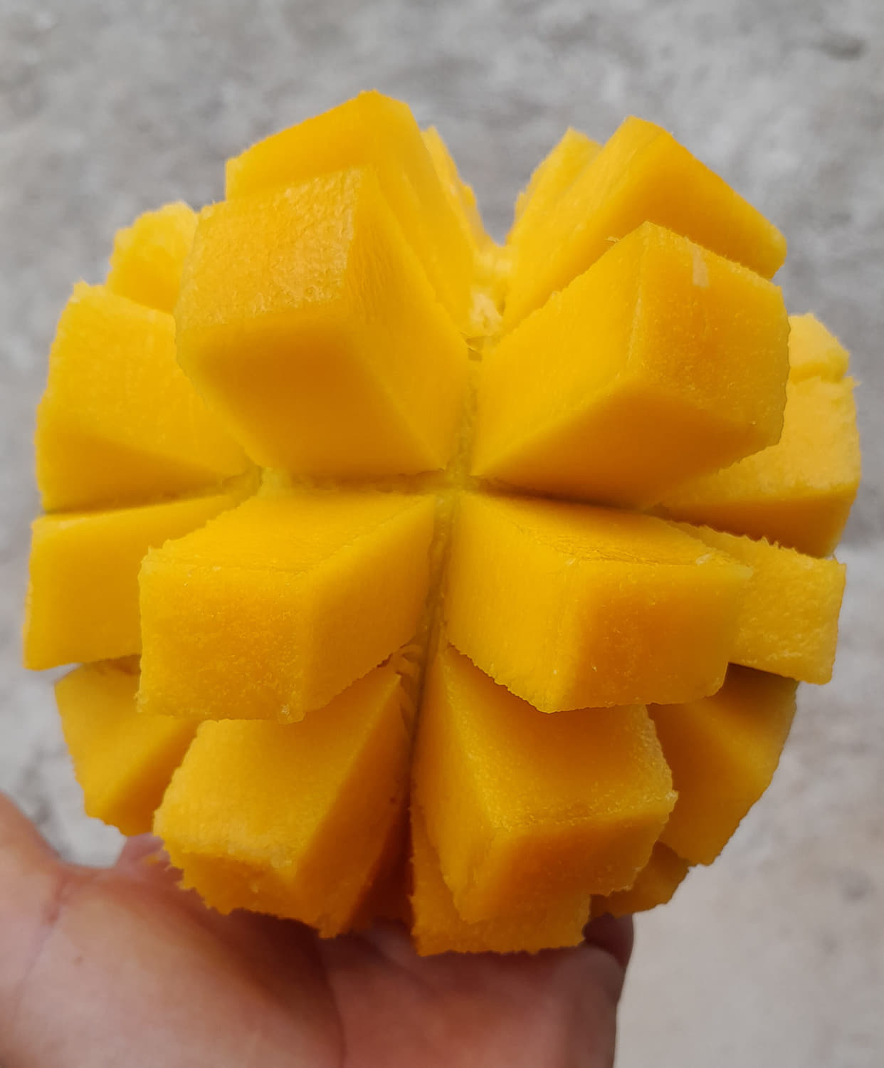 mango on skin, cut in cubes