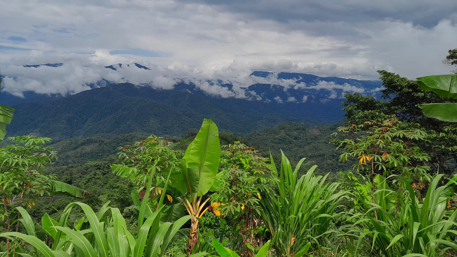 view of lush hills