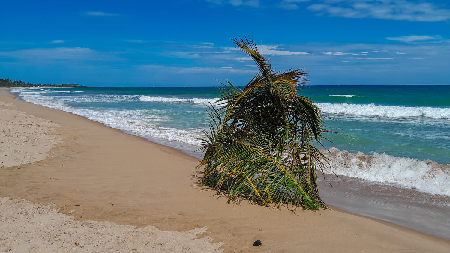 Strong surf on a deserted beach