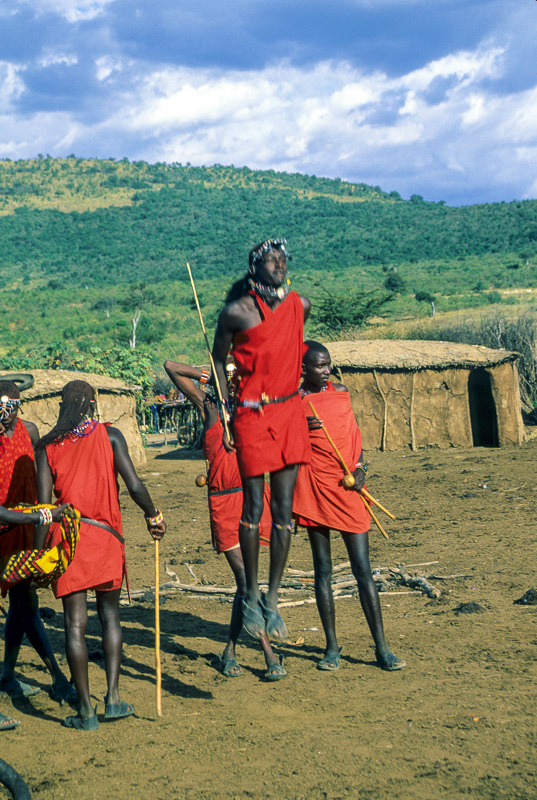 Maasai dancer jumping up 