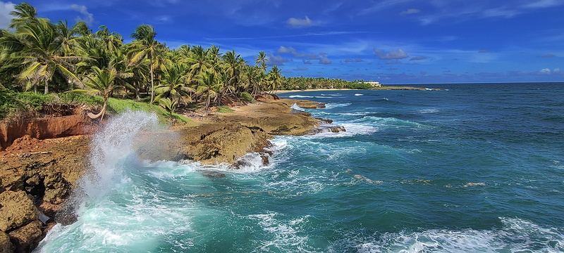 waves crashing against rocks with palm trees behind