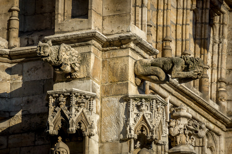 Belgian gargoyle