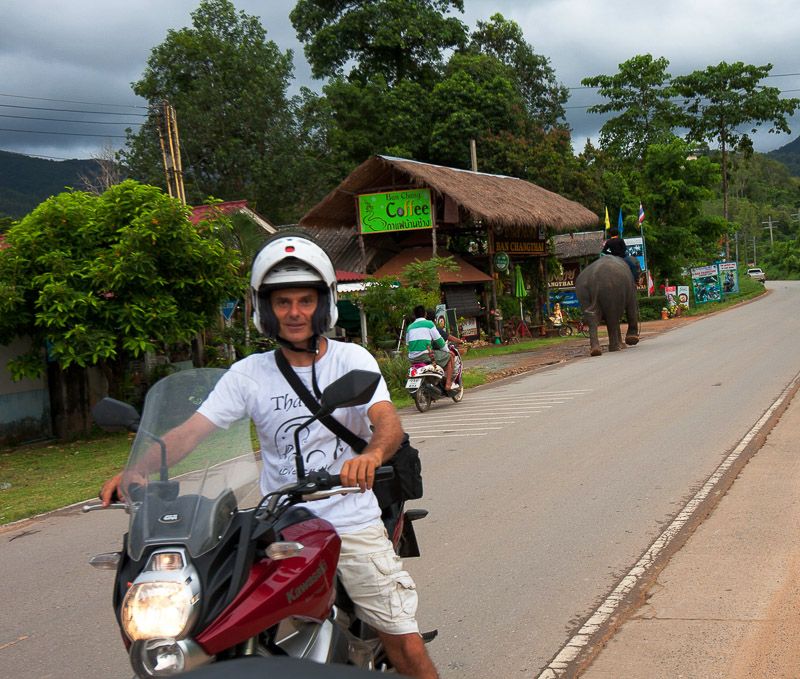 On a motorcycle with an elephant passing behind