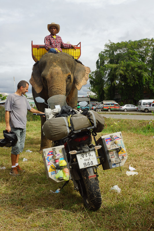 Elephant checking out my motorcycle