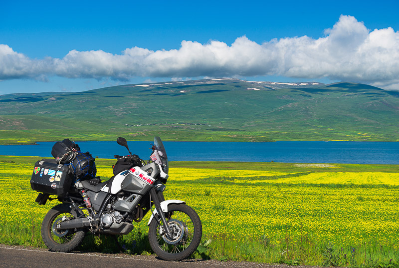 motorcycle parked next to a yellow flower field with a lake and mountains behind