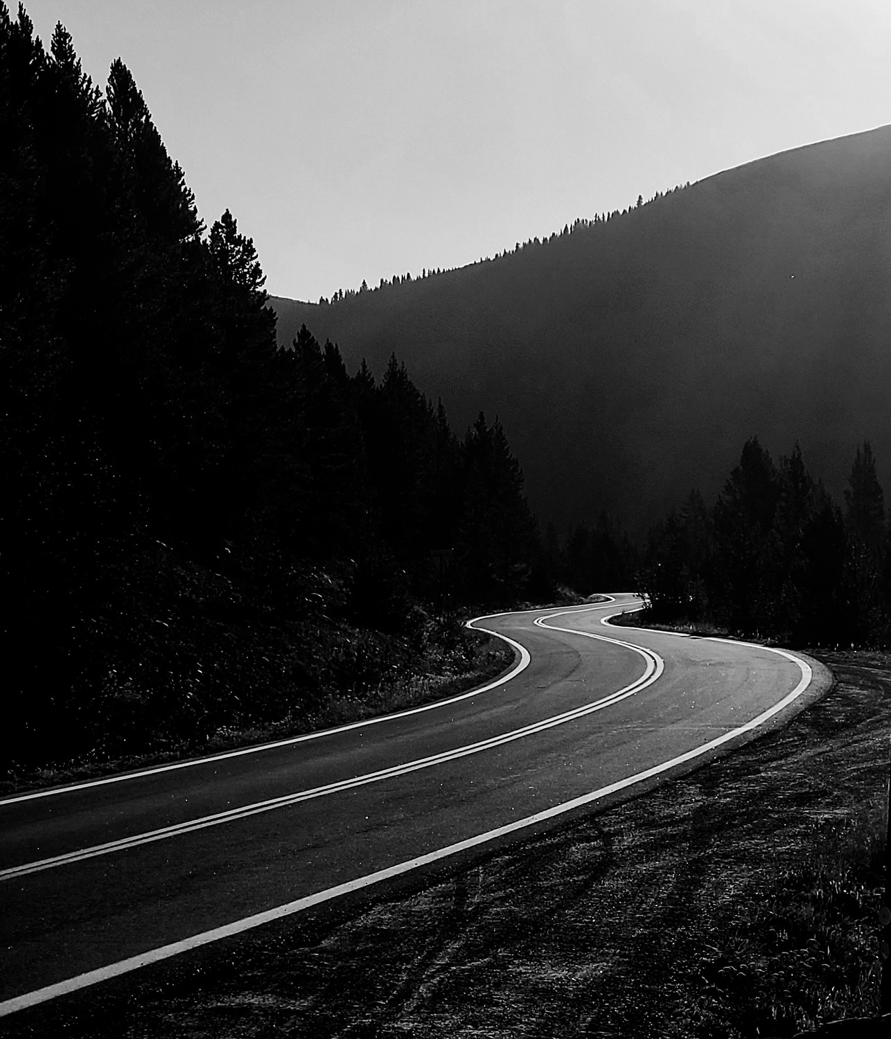 black and white photo of a twisty road against sun