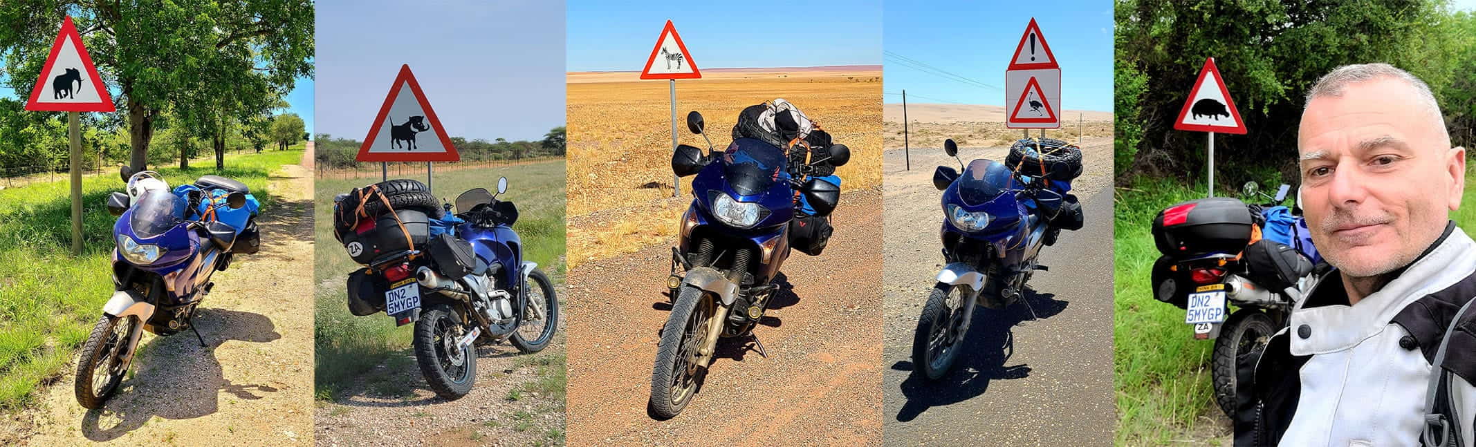 collage of photos of a motorcycle next to various wild animal warning signs
