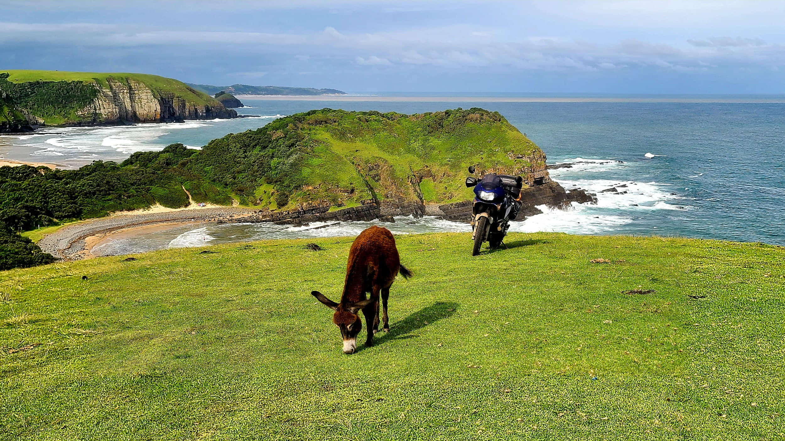 motorcycle parked with a donkey andgreen hills  dropping into the  ocean behind